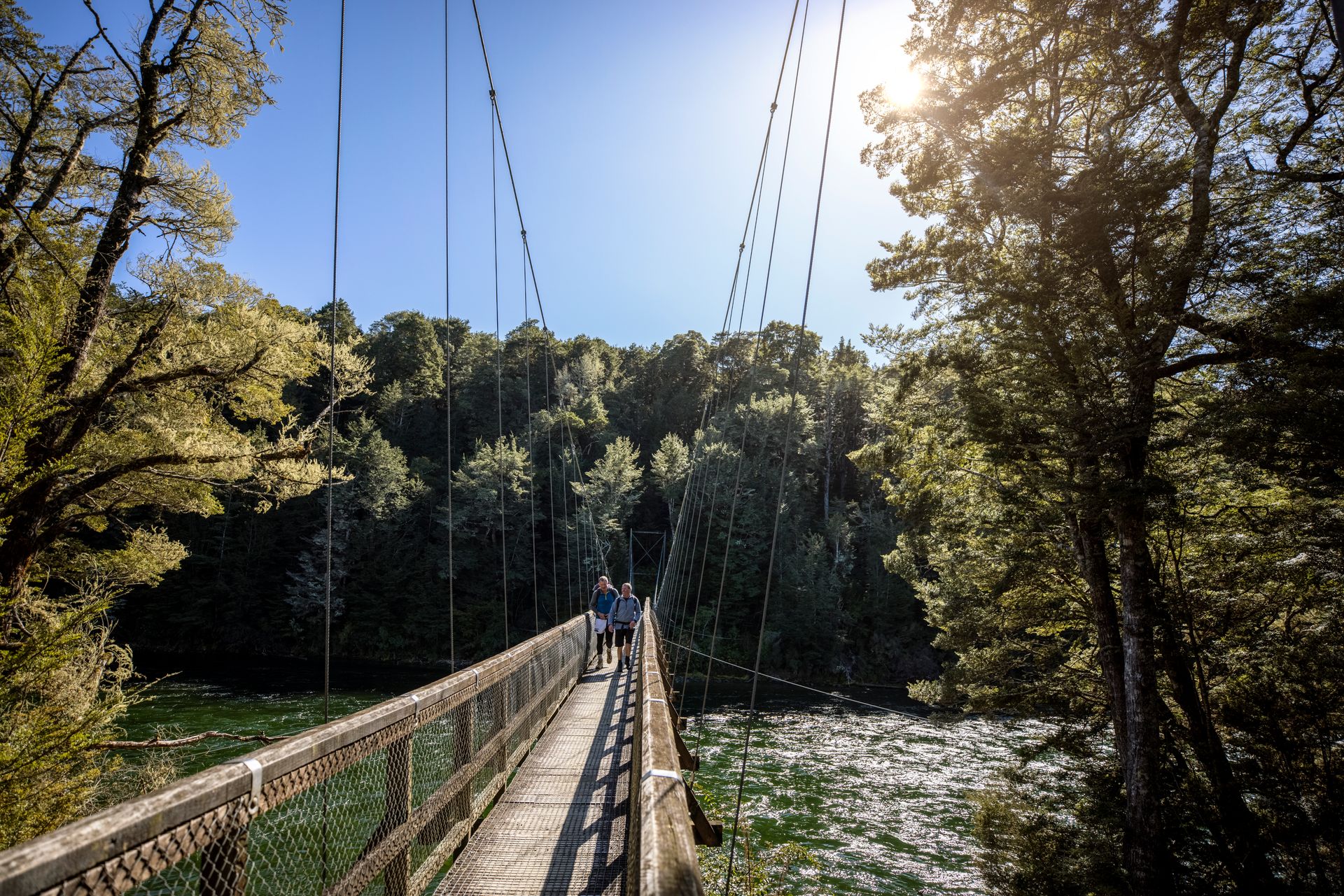 Life in New Zealand: The Ultimate Guide for World Travelers
