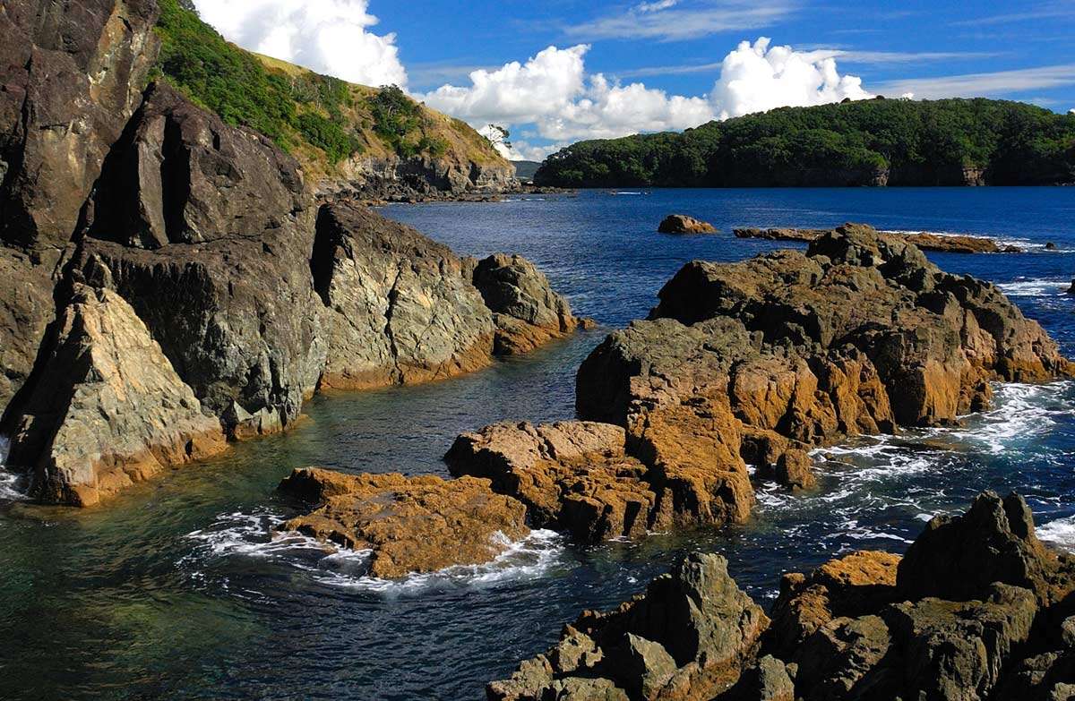 Your questions about Goat Island answered 1964 Mountain Culture Journal